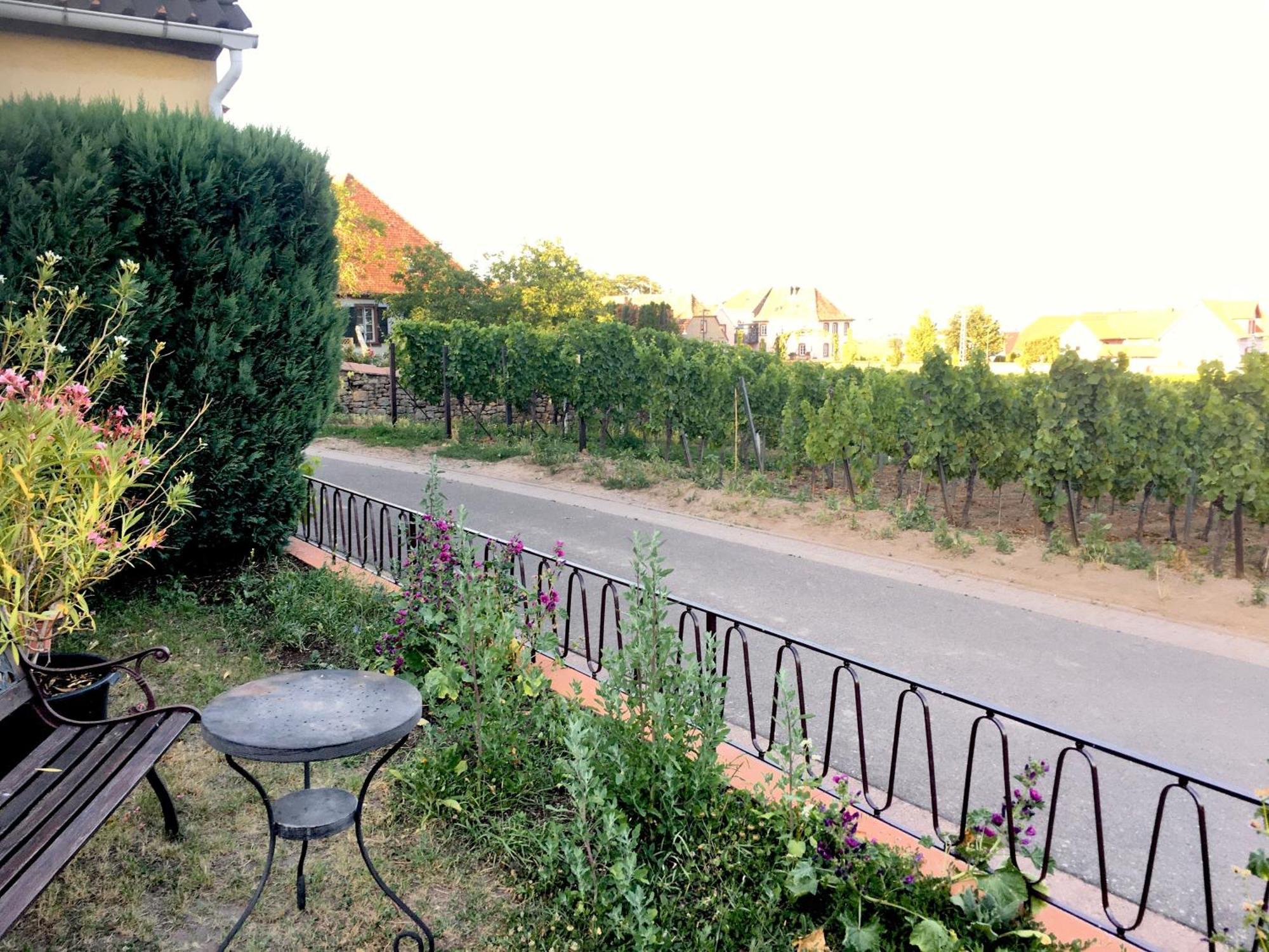 Ferienwohnung Suedpfalzblick Бурвайлер Экстерьер фото